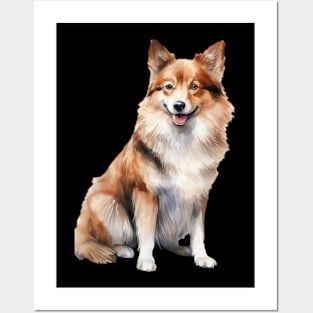 Icelandic Sheepdog Posters and Art